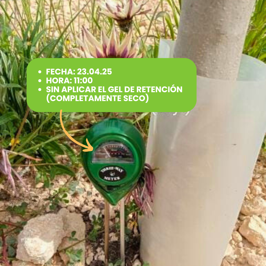 Retenedor de agua con tecnología alemana 250 ml | GreenPlan 3D Wasserspeicher