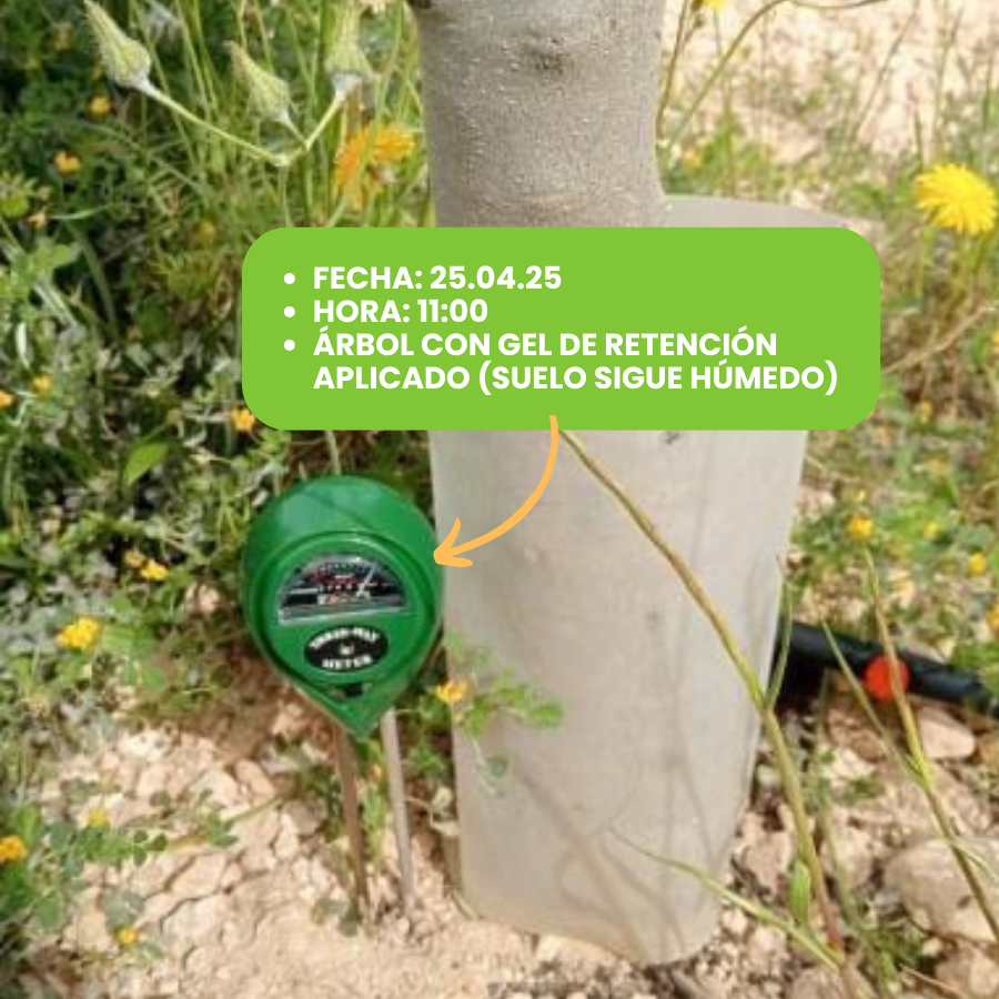 Retenedor de agua con tecnología alemana 250 ml | GreenPlan 3D Wasserspeicher