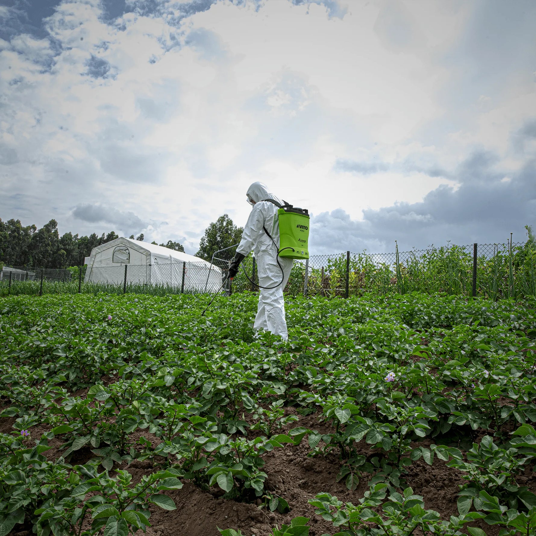 Pulverizador a batería de litio 16 L - 12v | 8Ah