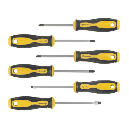 Juego Mixto de 6 Destornilladores Pro | Punta Magnetizada y Varilla de Acero Cromo Vanadio